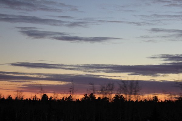 New Camera Dec2010 219